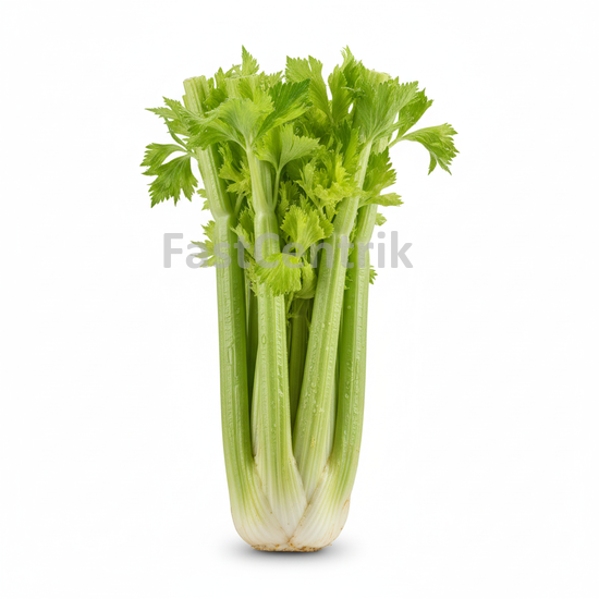 Zelerová vňať- sedano