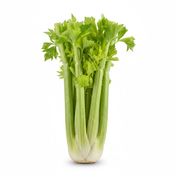 Zelerová vňať- sedano