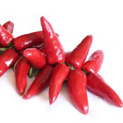Paprika chilli Jalapenos