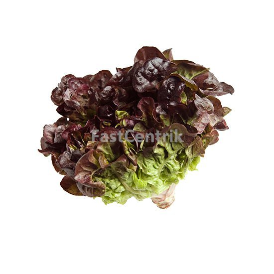 Šalát dubový list