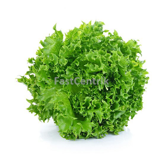 Šalát lollo biondo