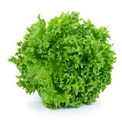 Šalát lollo biondo