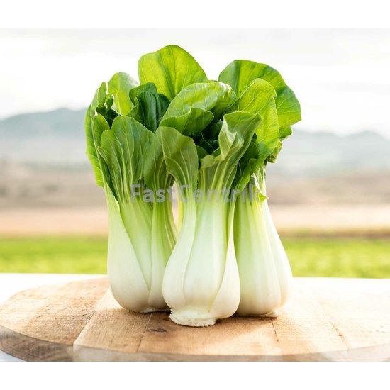 Pak choi