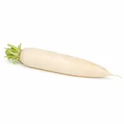 Redkovka biela dlhá