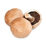 Šampiňón Portobello